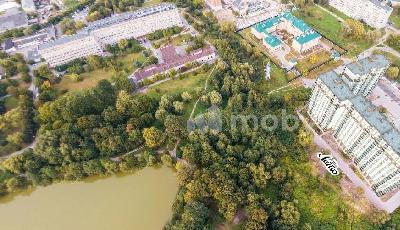 Фото: f7d94230-62b7-4154-a2a1-19aff1b7a80e.jpg