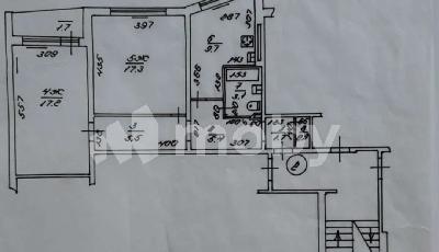 Фото: f7dc7fb4-d158-4e0b-8742-8266a0c48adf.jpg