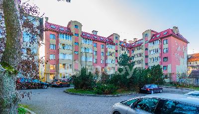 Фото: f7f2f4d6-0a61-479f-bfb0-f3fc2299ea0b.jpg