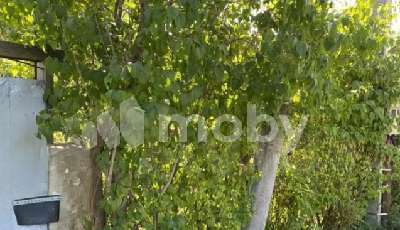 TA00087