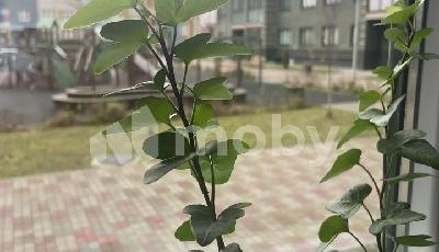 г Калининград, ул Артиллерийская 87, fb2ac037-2958-42fe-9bba-5c5e00d3af78.jpg