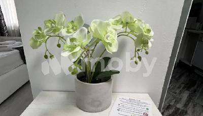 Калининград, ул Суздальская 20, fc6e55ec-6831-419e-898a-1e4ec651bae1.jpg