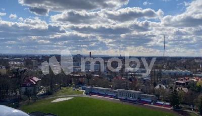 Фото: fd09e90f-d7b6-4036-81e6-883ce3e04567.jpg