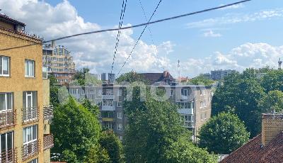Фото: fd729893-04d3-4ae5-ae86-73aa42730c38.jpg