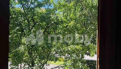 Фото: fe055326-9c15-4fe5-8f85-b3331c900537.jpg