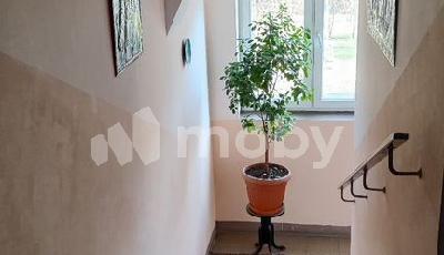 Фото: fe195105-2208-4738-8bf5-4e1798214cd6.jpg