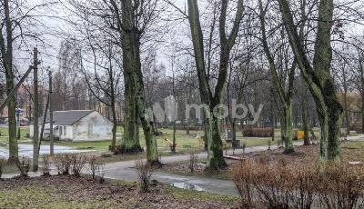 Фото: ff19bbc2-77a1-4119-9d7c-d207fdc7e7da.jpg